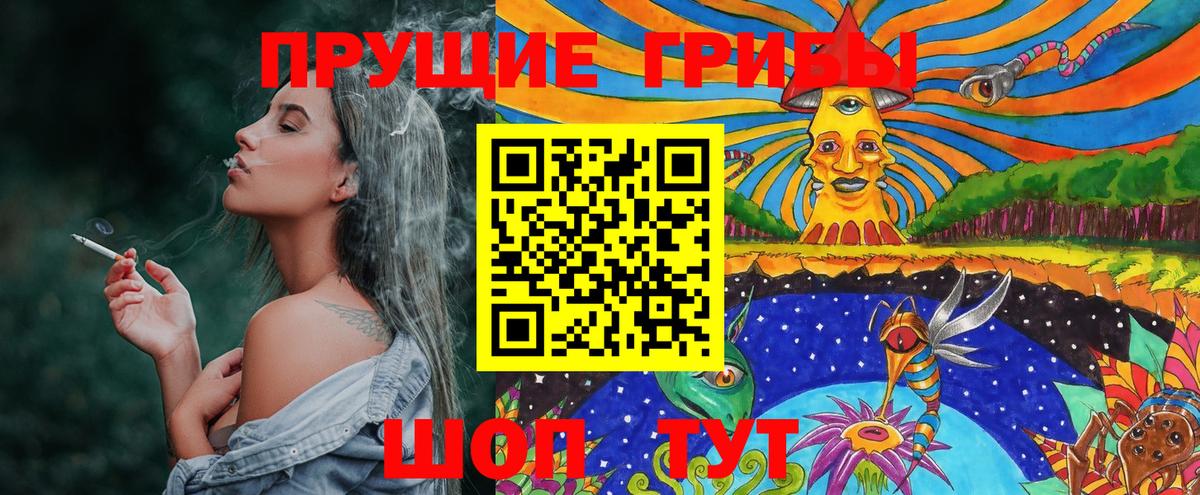 Воскресенск  Псилоцибиновые грибы Psilocybe  Вход с VPN  Псилоцибиновые грибы прущие грибы 